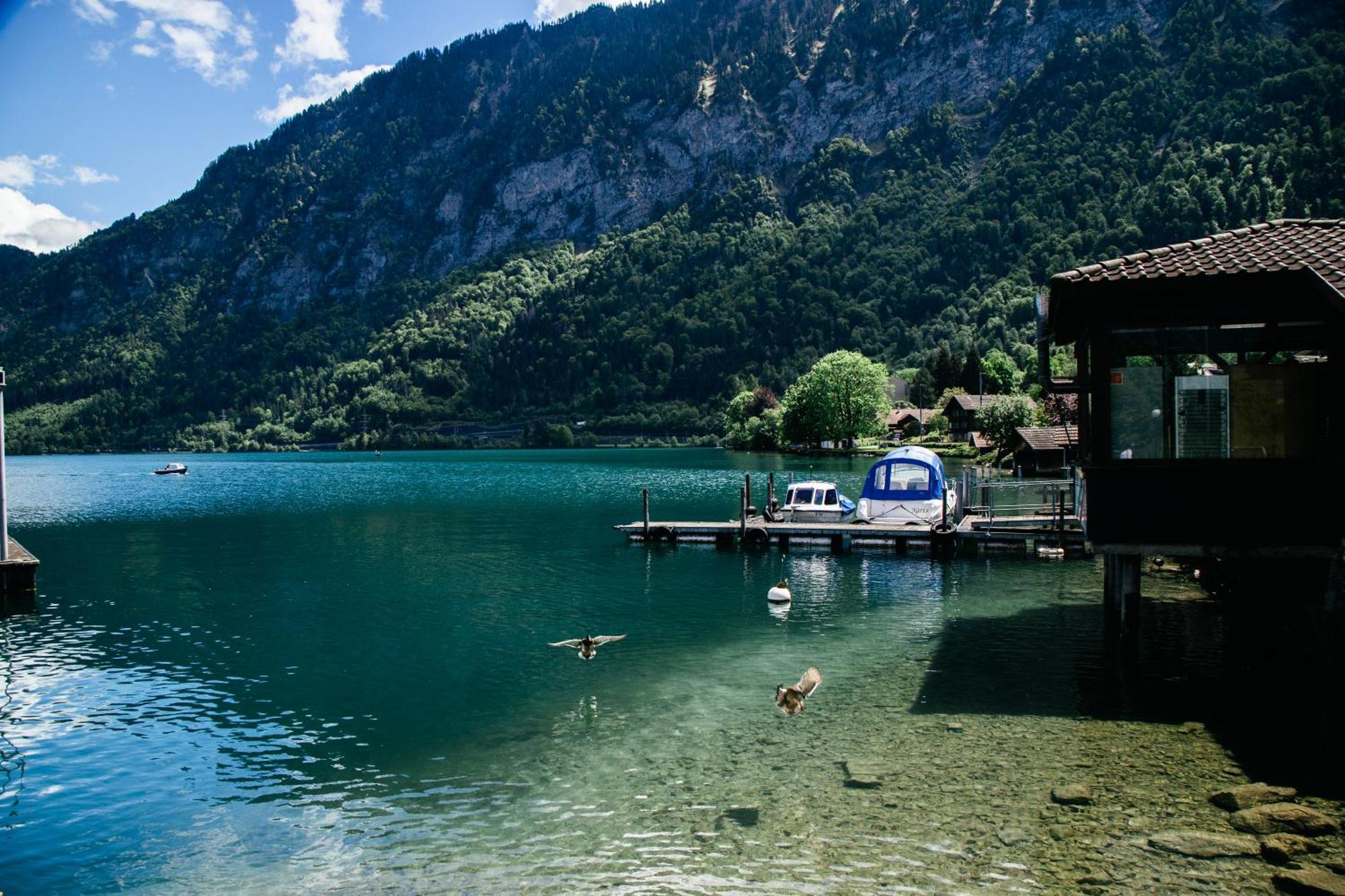Au Bord Du Lac Därligen Εξωτερικό φωτογραφία